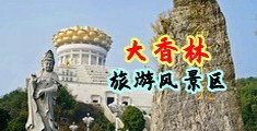 小黄片骚逼中国浙江-绍兴大香林旅游风景区